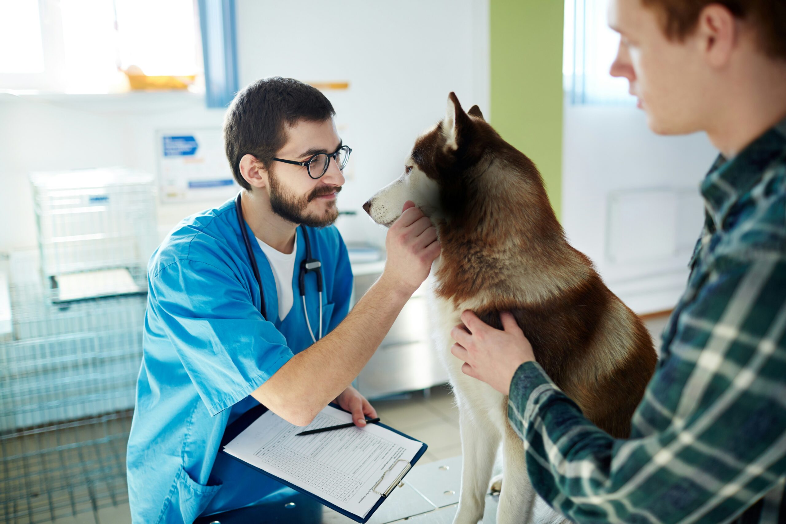 Alea Weil-Veterinary Care